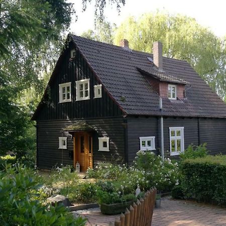 Haus am Knobben Villa Uslar Kültér fotó
