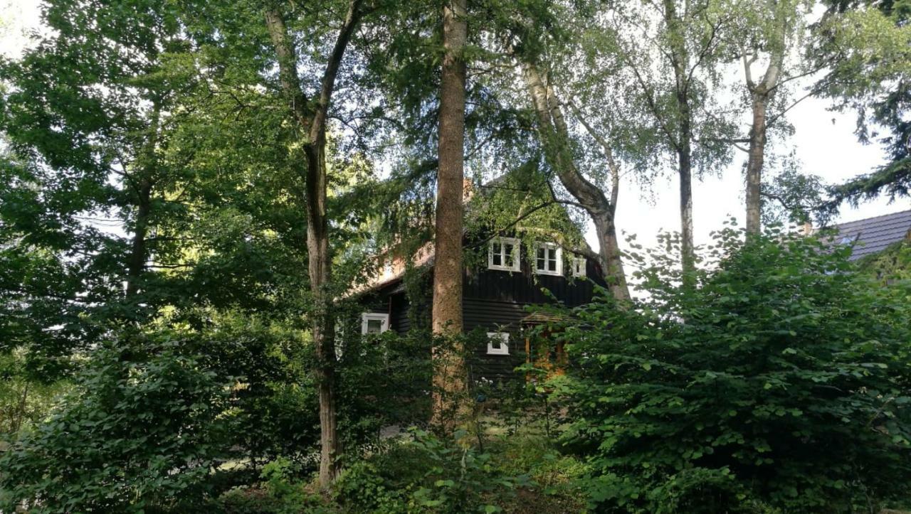 Haus am Knobben Villa Uslar Kültér fotó