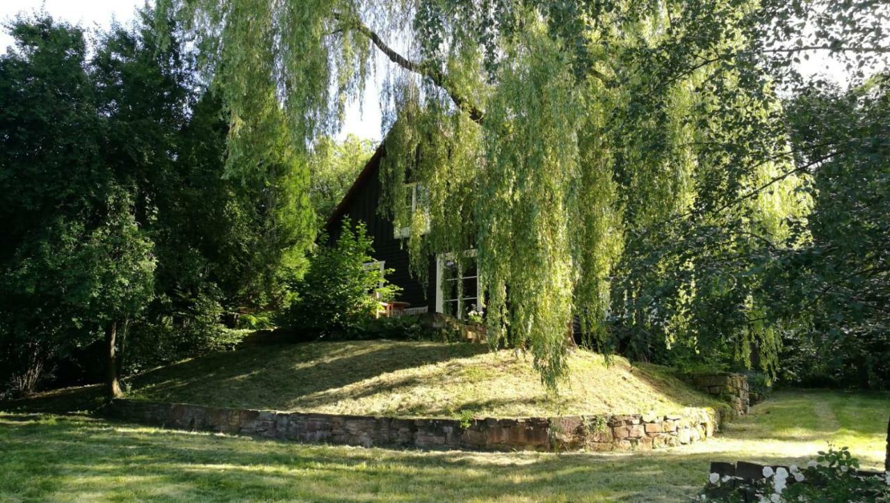 Haus am Knobben Villa Uslar Kültér fotó